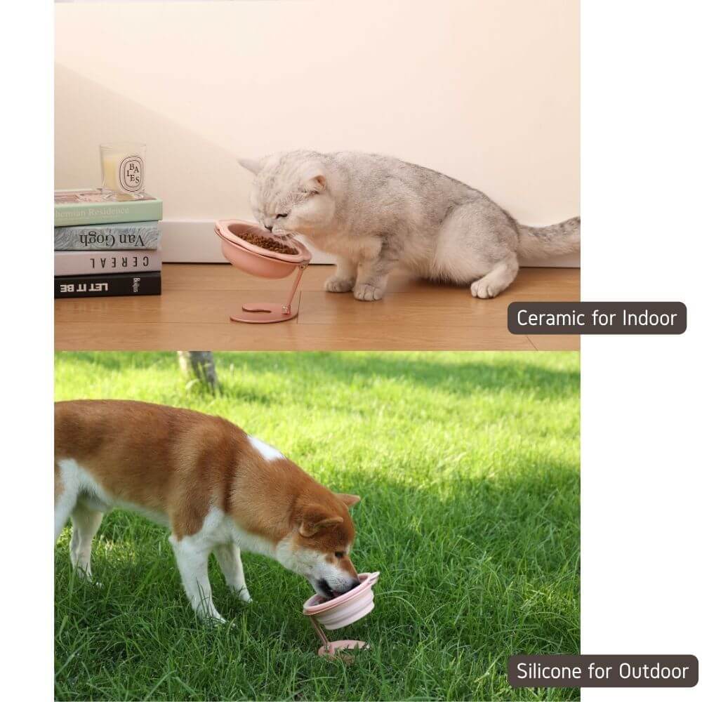 Pet bowl stand set in use with a cat indoors and a dog outdoors, featuring ceramic and silicone materials.