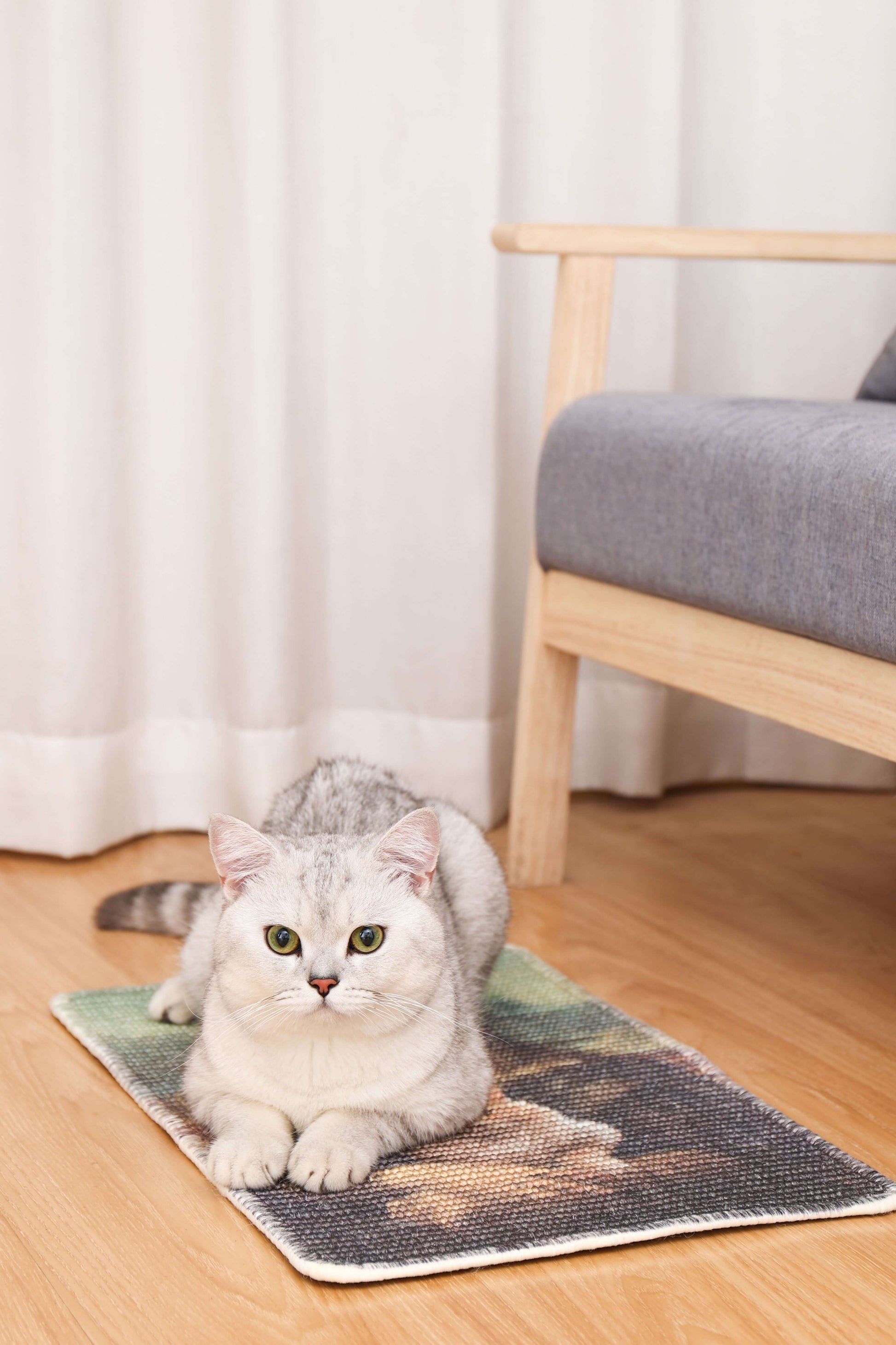 Cat resting on a natural sisal scratching mat in a cozy living room setting.