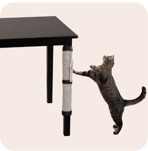 Cat using a sisal table leg protector for scratching, promoting claw health and protecting furniture.
