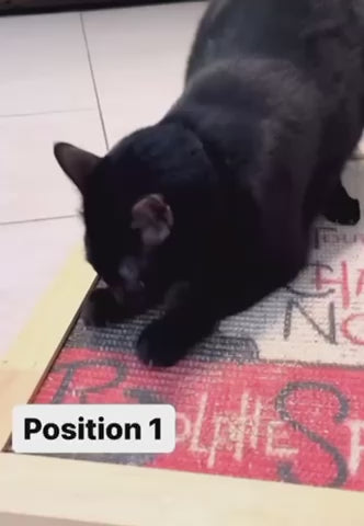 Black cat using The Ultimate Art Scratcher in position 1, showcasing its stylish and functional design for cats.