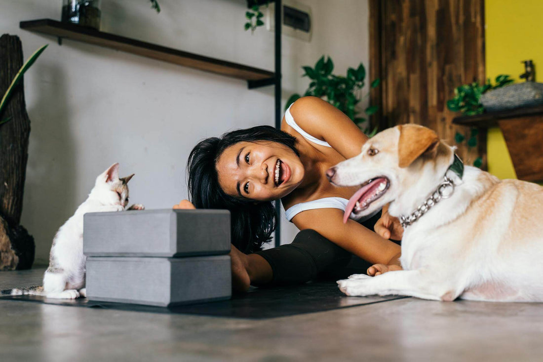 How Pet Wellness Is Changing in 2025: Real Talk from the Industry