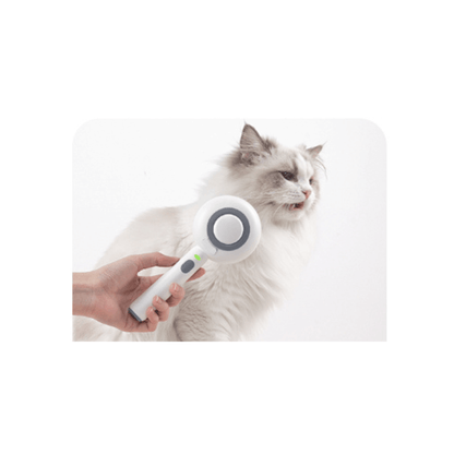Cat being groomed with a steam brush for deep cleaning and soothing massage.
