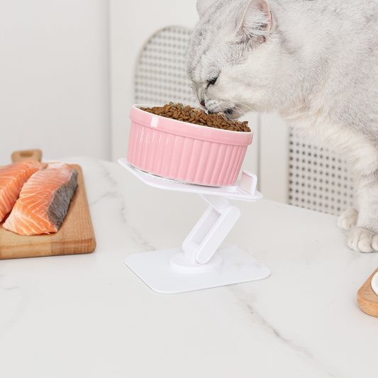 Multi-Angle Adjustable Feeding Stand for Cats & Small Dogs
