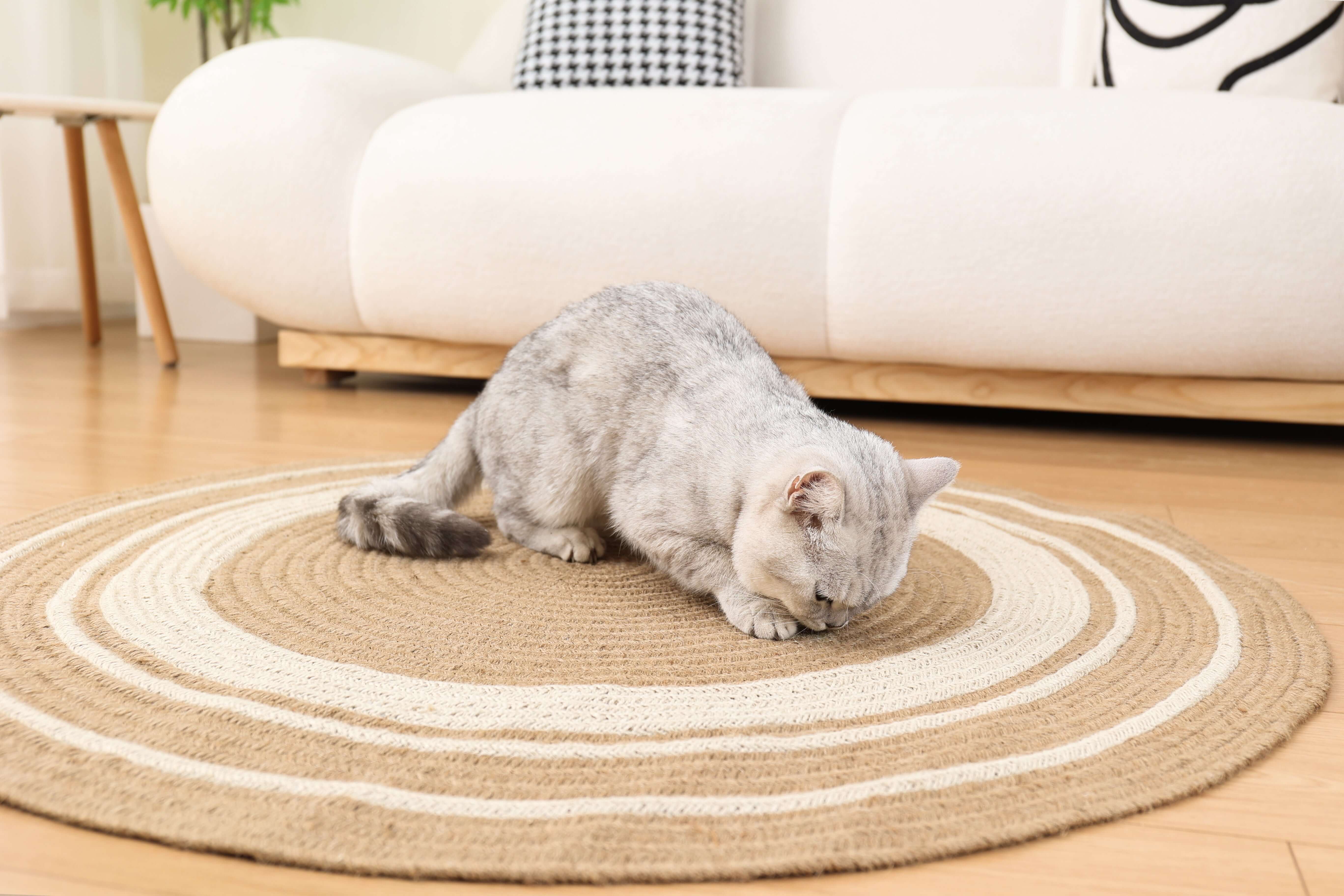 Round Pet Rug Natural Jute Round Area Rug | Cat-Friendly & Stylish