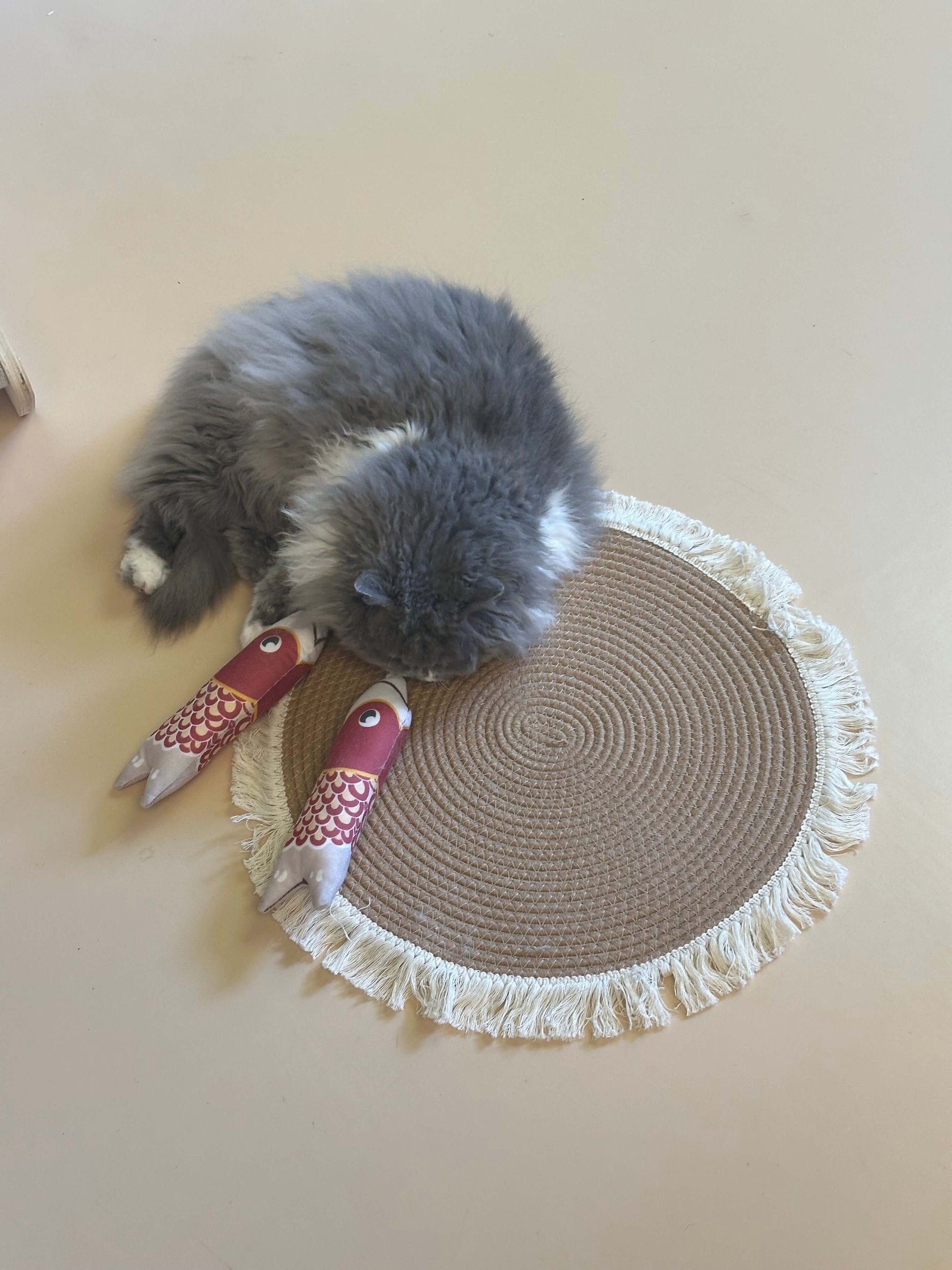 Interactive Catnip Fish Toy - Japanese Style
