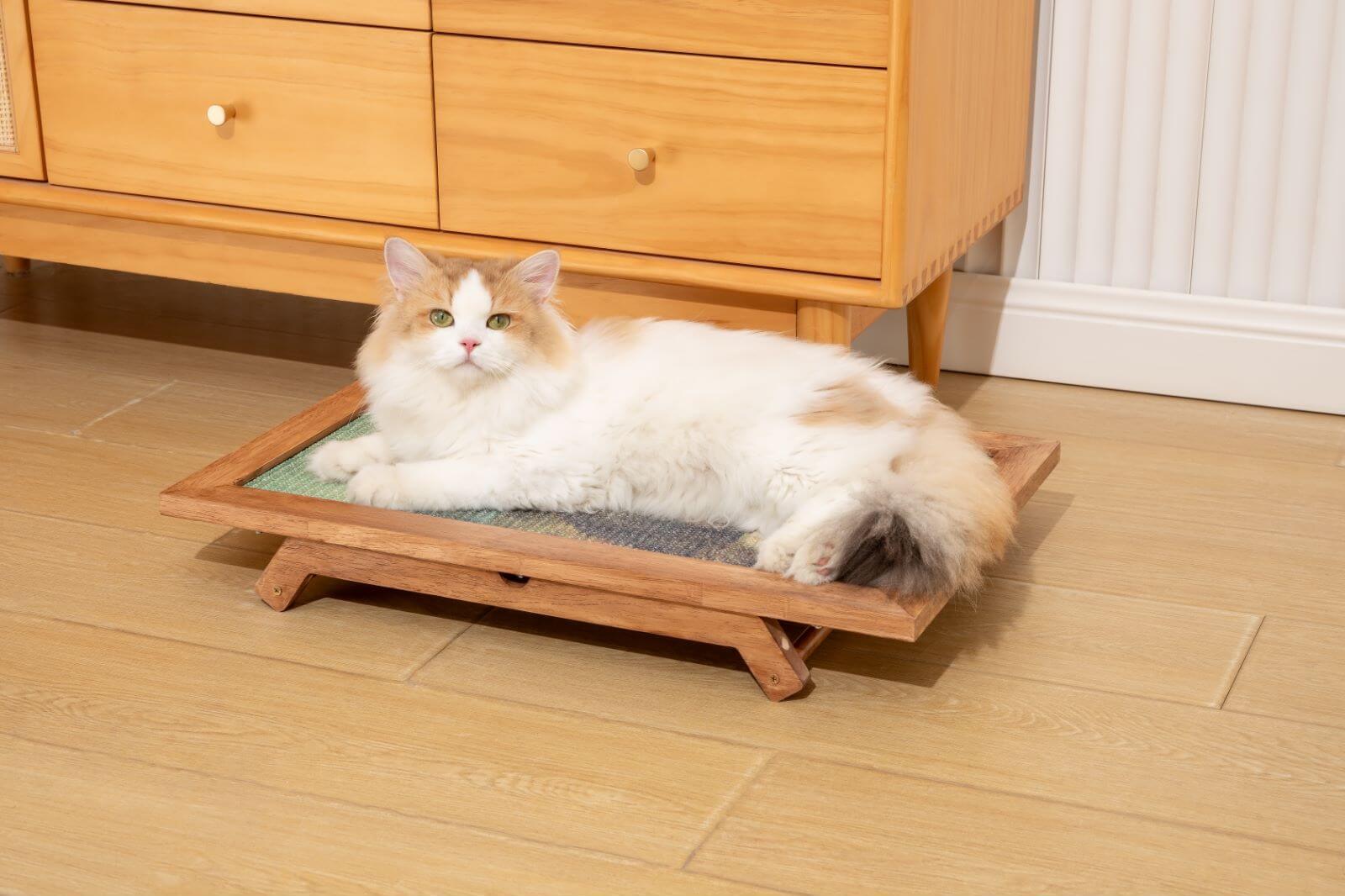 A fluffy cat lounging on a stylish sisal art frame scratcher in a modern home setting.