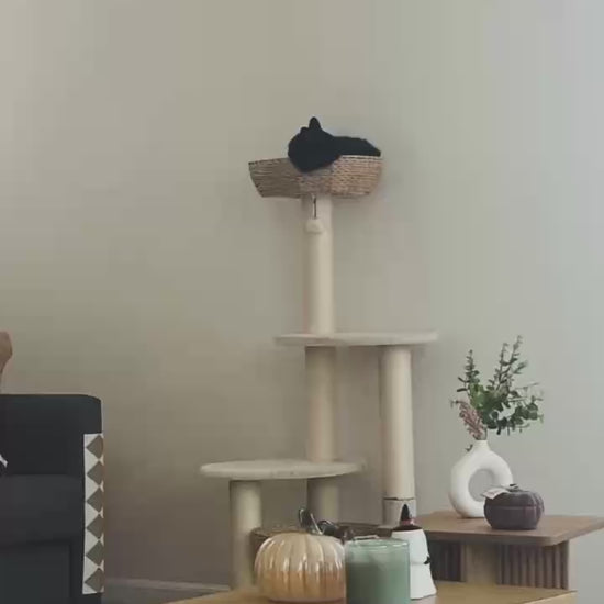 Stylish cat scratching post with a cozy basket and modern furniture in a chic living room setting.