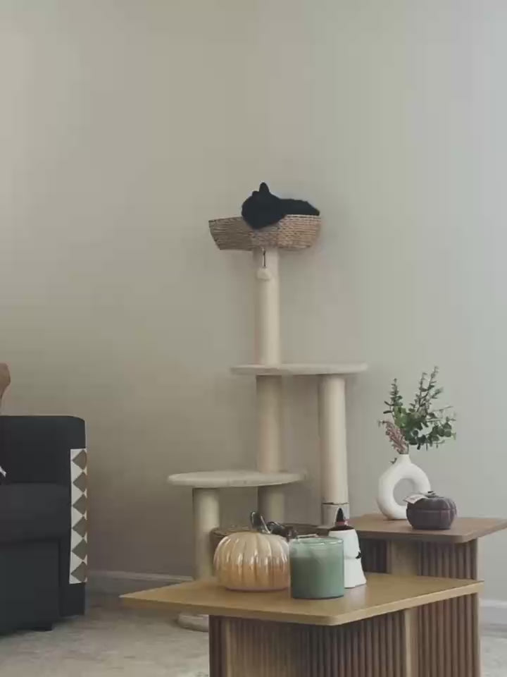 Stylish cat scratching post with a cozy basket and modern furniture in a chic living room setting.