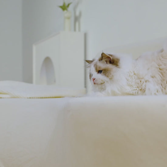 Groomer Product Overview 