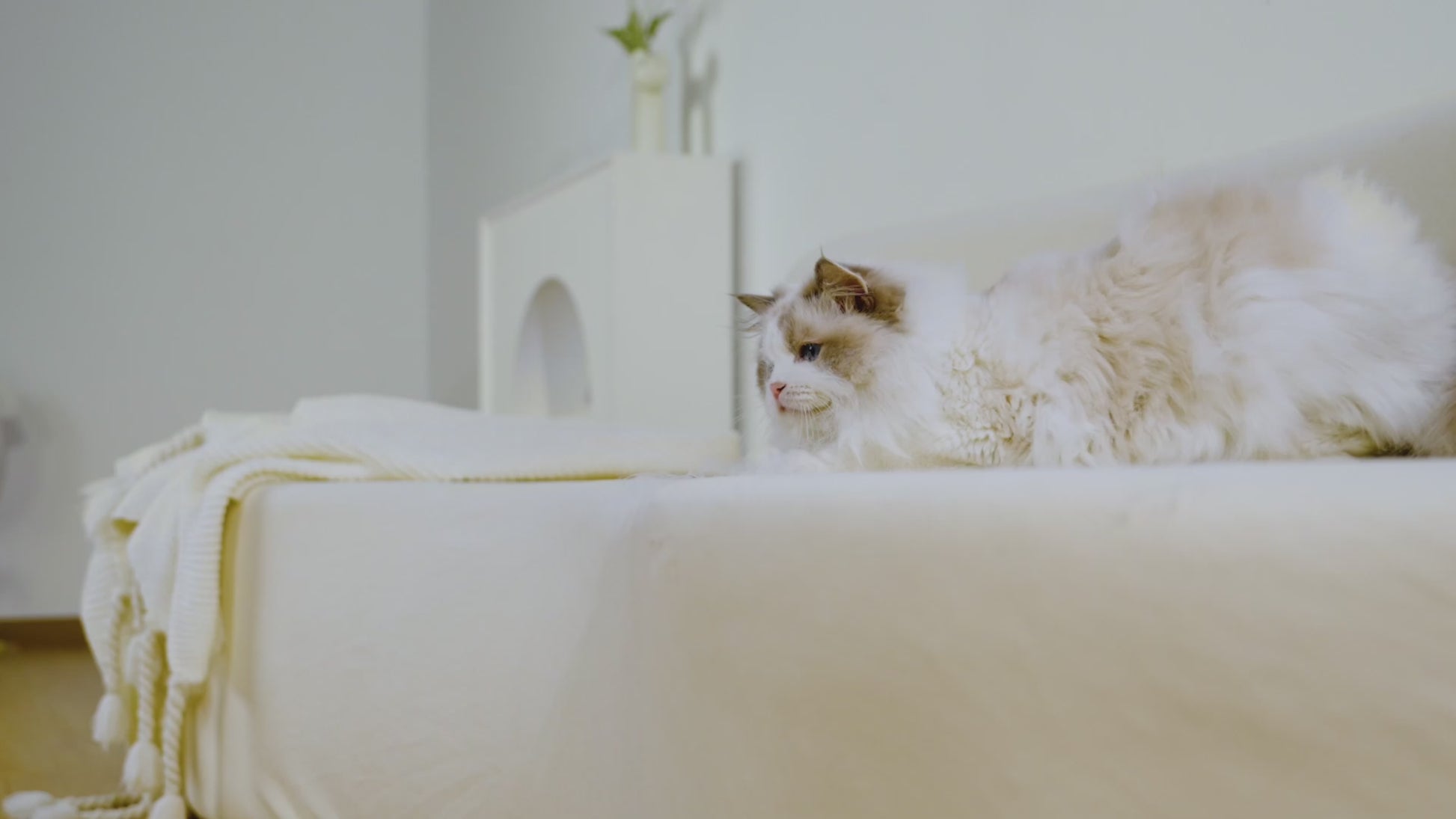 Groomer Product Overview 