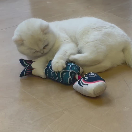 Interactive Japanese-style Catnip Fish Toy
