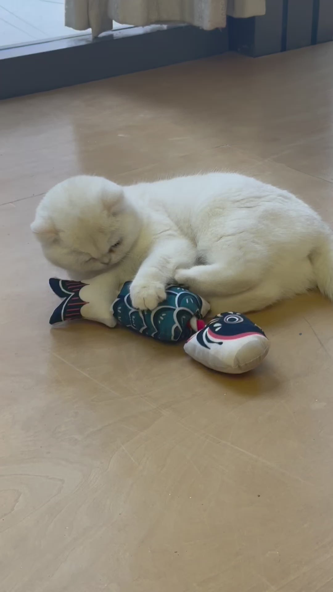 Interactive Japanese-style Catnip Fish Toy