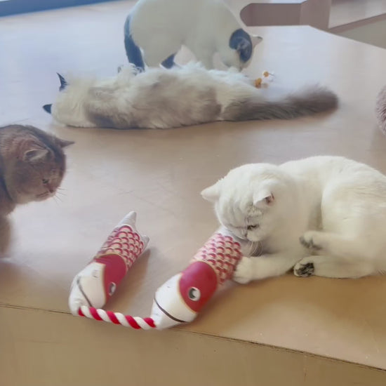 Interactive Japanese-style Catnip Fish Toy